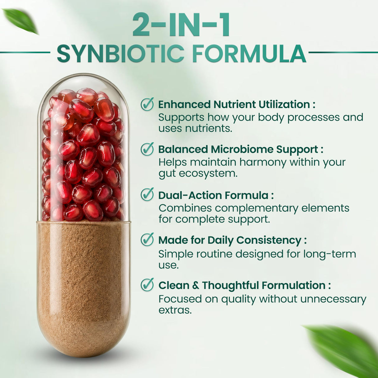 Resilia Synbiotic Probiotic + Prebiotic Supplement for Women & Men – 53.6 Billion AFU, 19 Strains, Shelf-Stable Capsules with Polyphenols, Digestive & Gut Balance Support, 60 Capsules