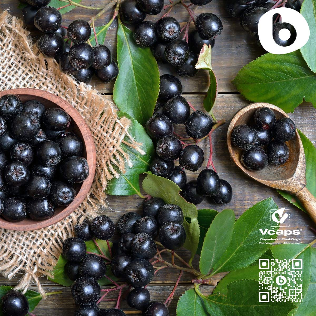 Organic Aronia Berry Capsules – Black Chokeberry Supplement with Natural Anthocyanins & Polyphenols – Supports Immune System – from Aronia Berries Powder – Non-GMO – 500mg, 90 Vegan Capsules