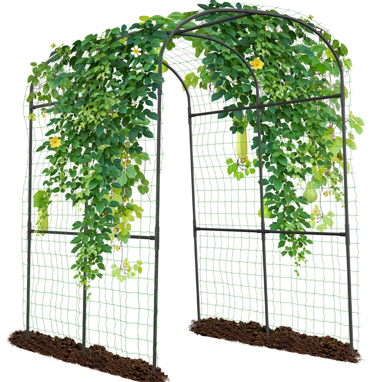 SUNYRISY 71" x 47" x 83" Garden Arch Trellis for Climbing Plants Outdoor