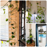 Wooden Ladder Plant Trellis for Climbing Plants – 6ft Extra Tall Indoor & Outdoor Hanging Wall Wooden Trellis Garden Plant Support, Easy to Install for Vines, Ivy, Pothos, Potted Plants