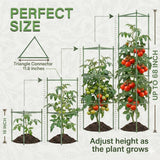 K-Brands Tomato Cage - Tomatoes Plant Stakes Support Cages Trellis for Garden and Pots (3 Pack - Extra Tall Upto 68 inches)