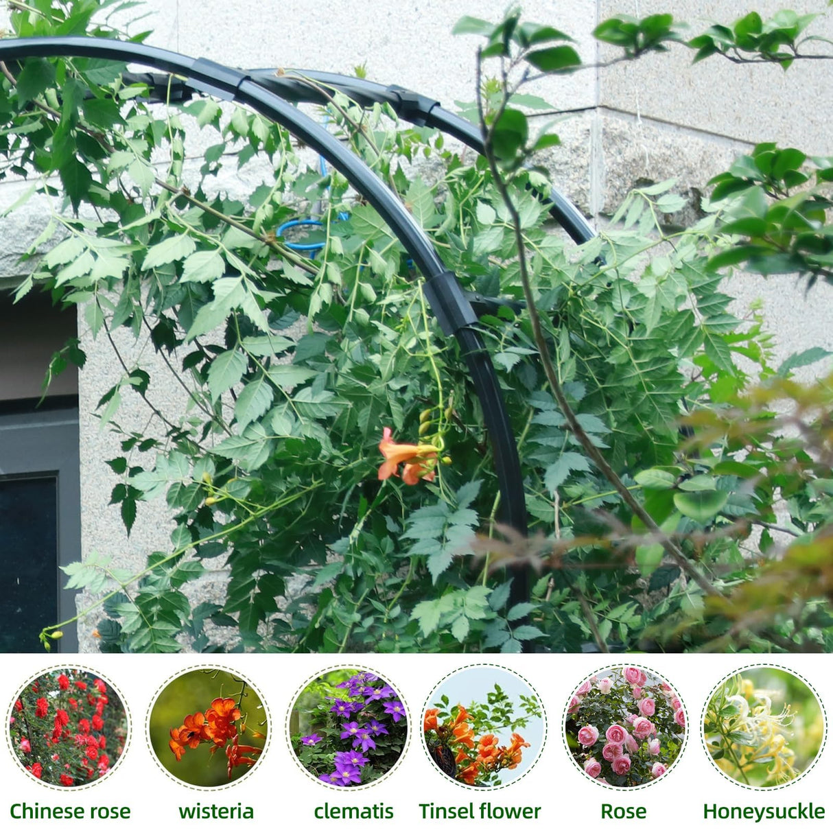BUKLIYN Half Sided Arch Against The Wall Garden Arch Trellis - Garden Arch Arbor Trellis for Climbing Plants Outdoor - Garden Arch Trellis Arbor for Home Yard and Garden（Black）