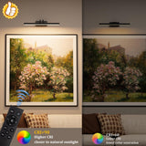 Percantis Battery Operated Picture Light for Wall, Wall Light for Living Room, 4000 mAh, 13.8'' Dimmable Art Painting Light, Remote Control, Black, Display for Gallery, Living Room, Bedroom(Black)