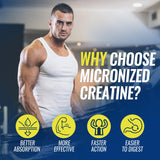 Micronized Creatine Monohydrate Gummies 5000MG for Women & Men, with Amino Acid Blend, Alpha-GPC, Phosphatidylserine & Vitamin B12 for Muscle Strength, Recovery, Energy, Focus, Sugar Free, 60cts