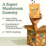 Plant People WonderDay Mushroom Gummies - Lion’s Mane, Cordyceps, Chaga Mushroom Supplement to Support Immune System De-Stress Boost Mood & Energy in Adults Natural, Vegan, Non-GMO (60 Count)