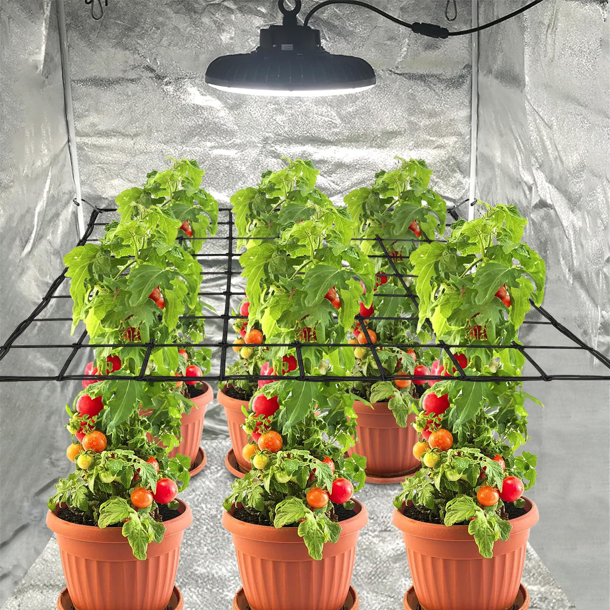 Trellis Netting, Scrog Net 4×4 ft, Heavy-Duty, Grow Tent Accessories, 2 Pcs