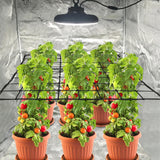 Trellis Netting, Scrog Net 4×4 ft, Heavy-Duty, Grow Tent Accessories, 2 Pcs
