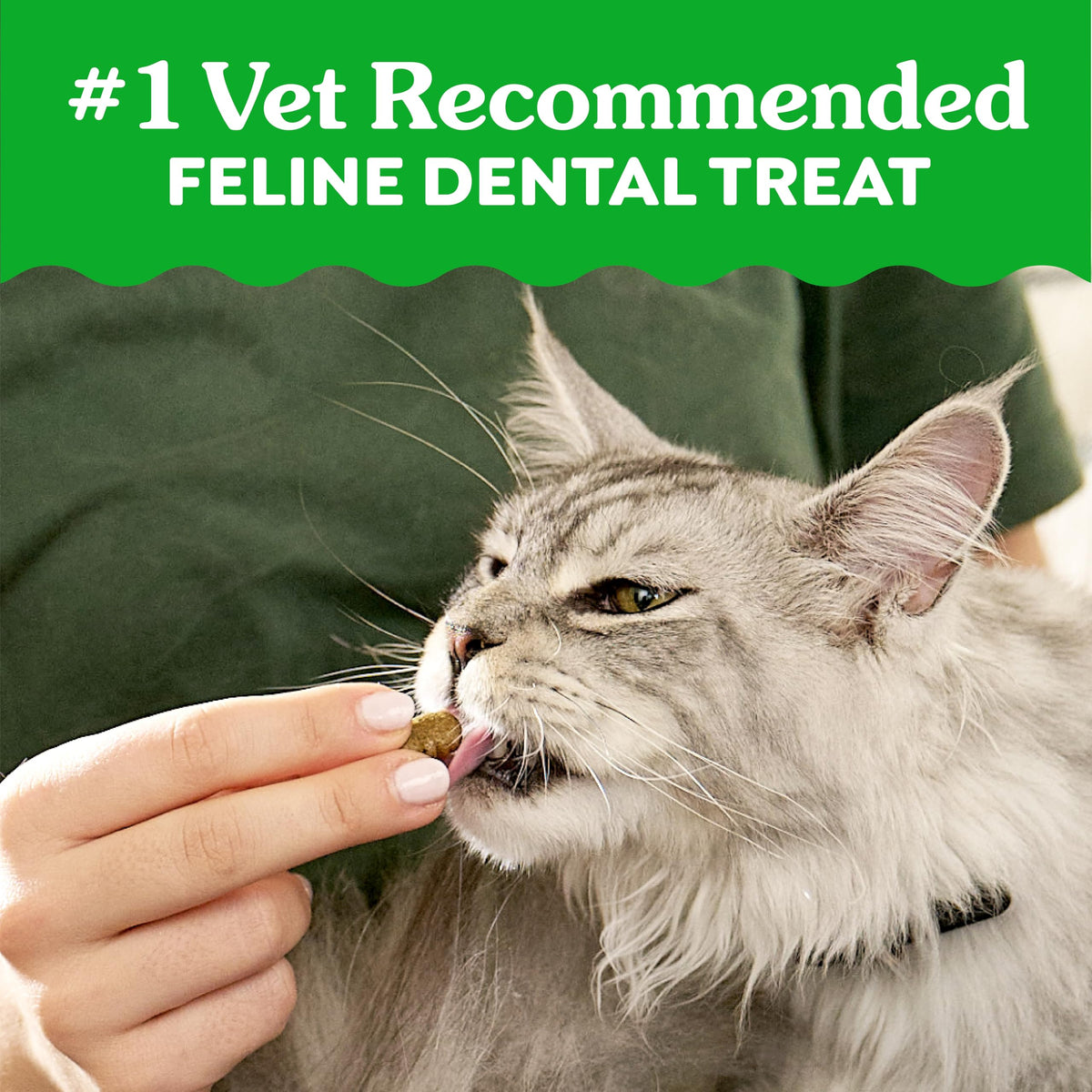 Greenies Feline Natural Dental Cat Treats, Catnip Flavor, 21 oz