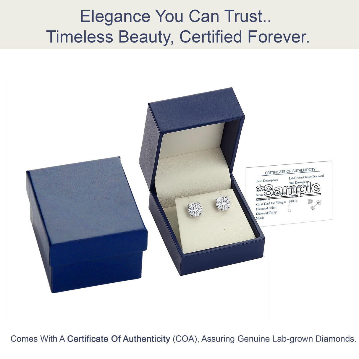 Belacqua 1/2 Carat Round Lab Grown Diamond Stud Earrings in 14K White Gold