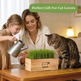 HiHOYA Cat Grass Kit for Indoor Cats - 5 Packets of Seeds, Cat Grass Planter Wooden Growing Kit, 5-Time Plant Starter Pack with 6 Soil Discs, Trimming Scissors, Spray Bottle, and Mini Tools