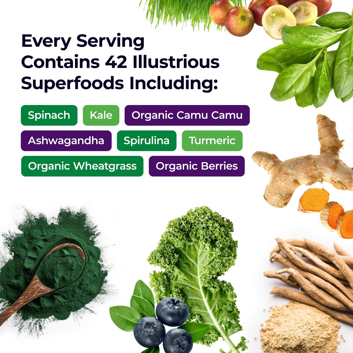 Paradise Herbs, ORAC Energy Greens Powder, Antioxidant Power of 24 Servings of Fruits & Vegetables in 1 Scoop, 120 Servings