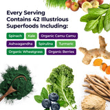 Paradise Herbs, ORAC Energy Greens Powder, Antioxidant Power of 24 Servings of Fruits & Vegetables in 1 Scoop, 120 Servings