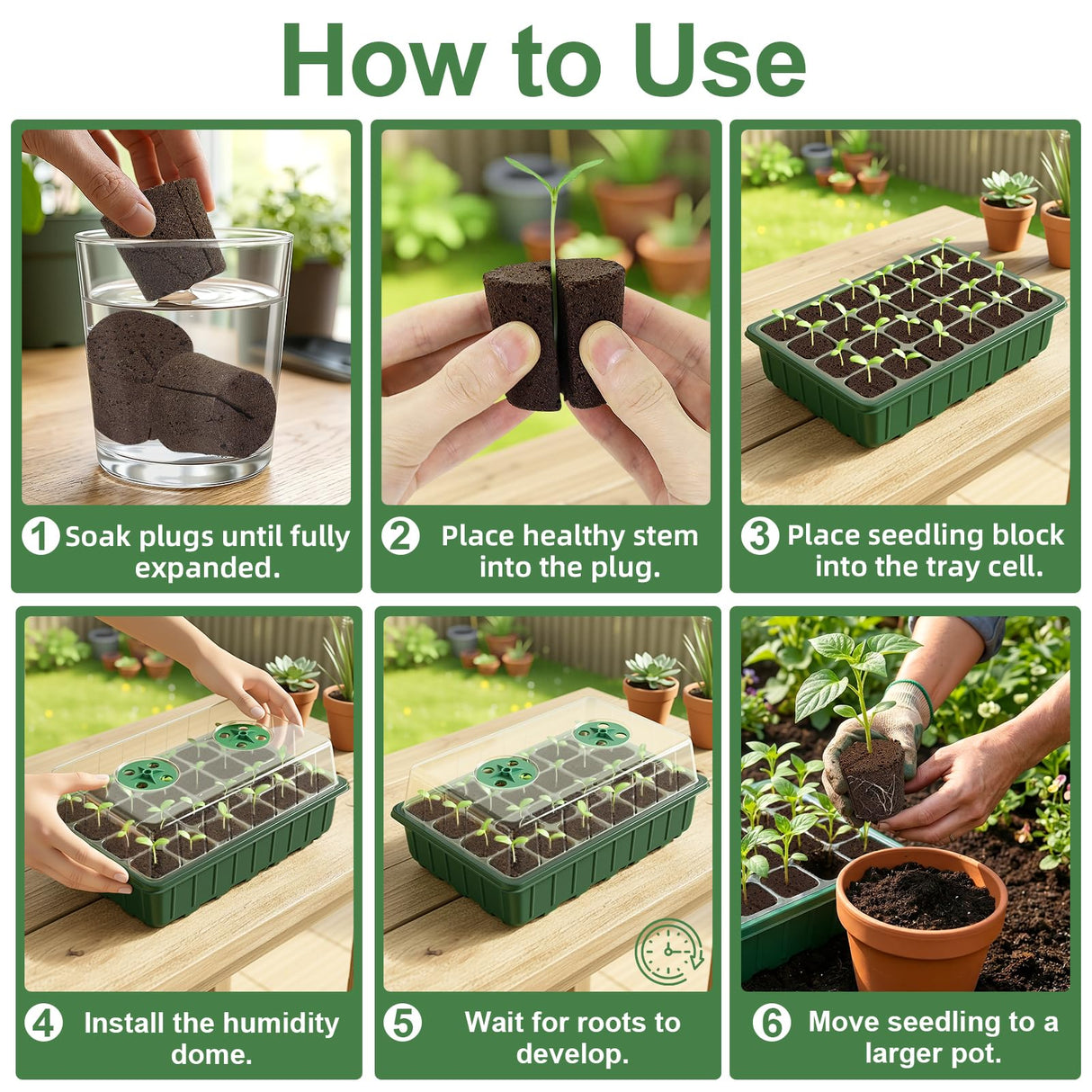 Upgrade Grow Sponges with Tray, 24 Pack Seed Starter Pods & Starter Plugs for Cuttings, Hydroponic Grow Sponges for Seed Starting, Plant Plugs for Herbs Vegetables Flowers, Easy Transplant Rooter Pods