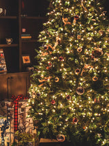 Twinkle Star 2 Pack Outdoor Christmas Lights, Total 33 FT 100 LED Battery Operated Christmas Lights with 8 Modes, Xmas Tree Lights Waterproof for Patio Garden Party Wedding Holiday Decor Warm White