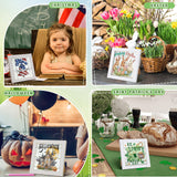 Trandraft 13 Pcs Interchangeable Seasonal Diamond Painting Kits for Adults Monthly 5D Diamond Art Calendar Kits with Frame for Christmas Thanksgiving Winter Holiday Decor Gift(Stylish Style)