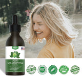 Chlorophyll Liquid Drops - 100% Natural Energy Booster and Immune Support - Internal Deodorant and Detox - Altitude Sickness Relief - Fast Absorption, Vegan & Non-GMO - 120 Servings (Pack of 2)