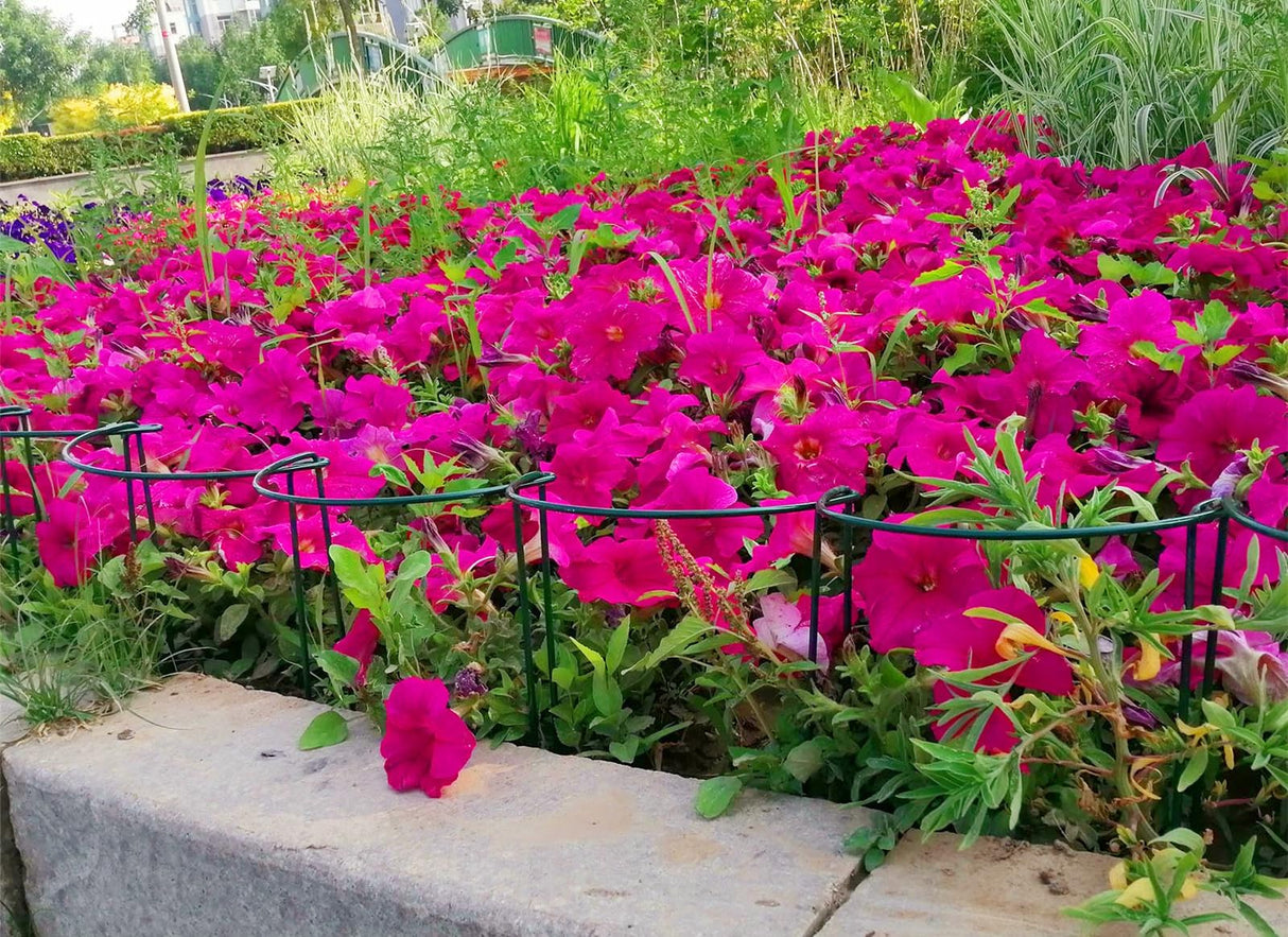 6 Pack 13.8 Inch High Plant Stake,Garden Plant Support,Half-Round Peony Cage Plant Ring Hoop