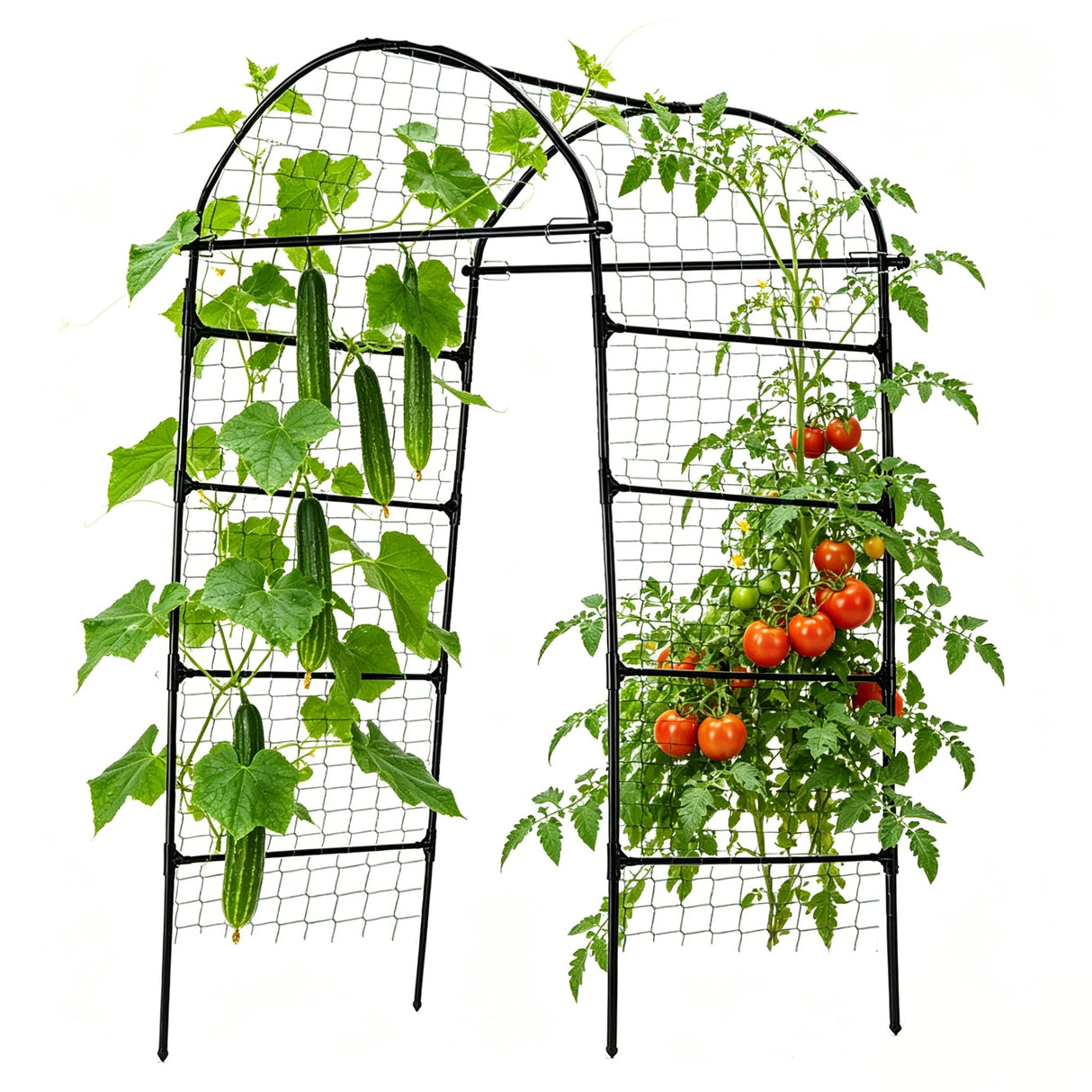 80 Inch Tall Garden Arch Trellis for Climbing Plants Outdoor, Grape Trelli Metal Vine Plants Support Flower Vegetable Tomato (Black, 33" L x 33" W x 80" H - Arch Trellis)