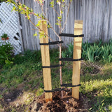 AceOrbit 12 Pack 32 Inch Tree Ties with Complimentary Nail Universal Tree Ties Self Locking Straps Includes Nail for Landscaper Gardener Garden Accessories