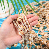 Ecation 12 Pieces Shell Leis Bulk, Natural Sea Shell Hawaiian Necklaces