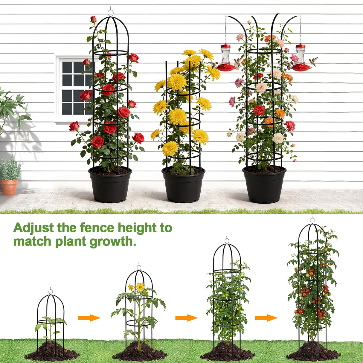 100% Metal Obelisk Garden Trellis 6.6 Ft Tall Plant Support for Climbing