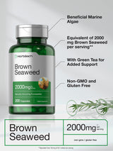 Horbäach Brown Seaweed Extract Capsules 2000mg | 200 Pills | Fucoxanthin Supplement | Non-GMO, Gluten Free