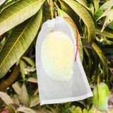 ENPOINT Fruit Bags for Fruit Trees, 100 PCS 6x10 Inch Fruit Protection Bags with Drawstring, Garden Netting Mesh Fruit Cover Bag for Grape, Tomato, Peach, Apple, Flower from Birds Bugs