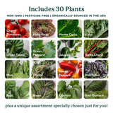 Gardyn Home 4 Vertical Hydroponics Growing System Kit - 30 Plants