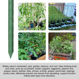 Garmeinea Garden Stakes 57 Inches Plastic Coated Steel Plant Stakes for Growing Climbing Plants, Pack of 25