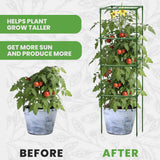 Tomato Cage Square - Large Trellis Stakes and Plant Support Structures for Vegetables and Climbing Plants - Tall Tomato Cages for Garden, Pots, Raised Garden Bed Outdoor Supplies (6 Pack - Up to 58")