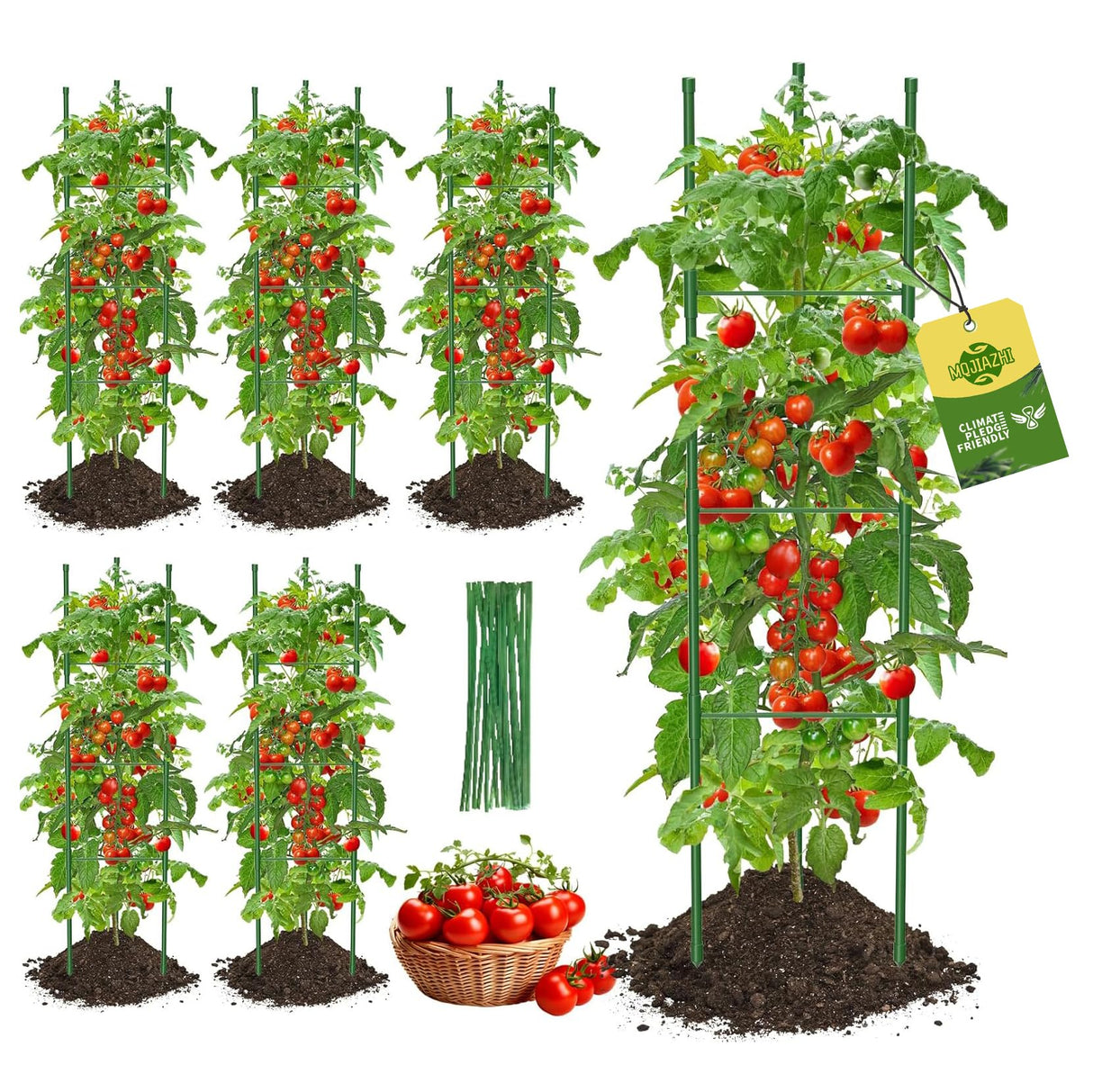 Tomato Cages,6 Pack MQJIAZHI 51.2inch Adjustable - Rust-Proof Tool-Free Trellis for Raised Garden Bed & Climbing Plants