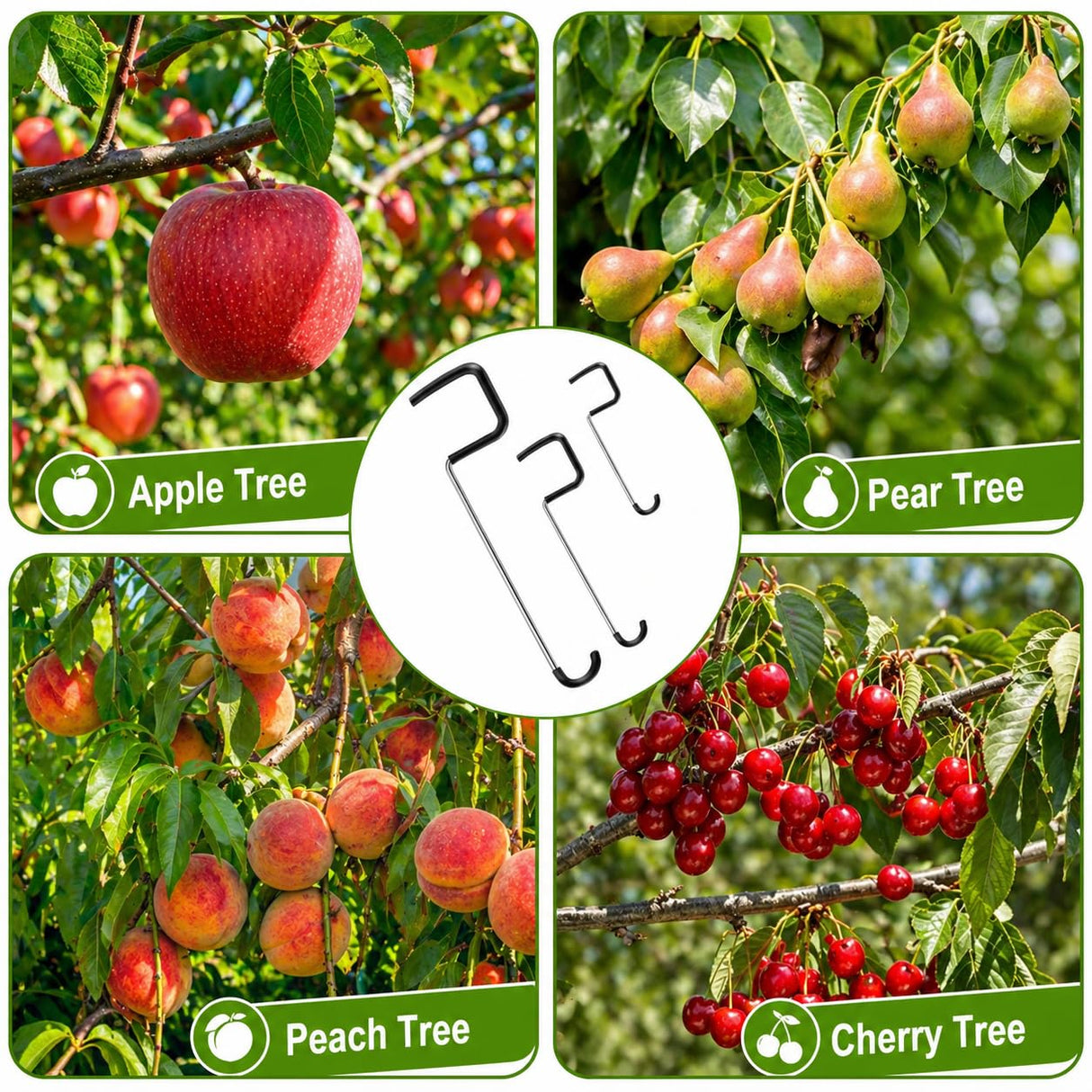 Limb Spreaders for Fruit Trees 21 PCS, 10 Inch Tree Limb Spreader, Metal Fruit Tree Branch Spreaders with Bark-Protective Rubber Hooks, Tree Branch Support for Apple Pear Cherry Plum (10 Inch)