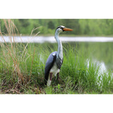 Higdon Outdoors Blue Heron Confidence Decoy for Waterfowl and Ornamental Water Garden, Pond and Landscape Decoration Plus Pest Deterrent