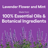 Seventh Generation Dish Soap Liquid Lavender Flower & Mint Scent Pack of 6 Dishwashing Soap Dish Detergent Liquid Soap 19 oz