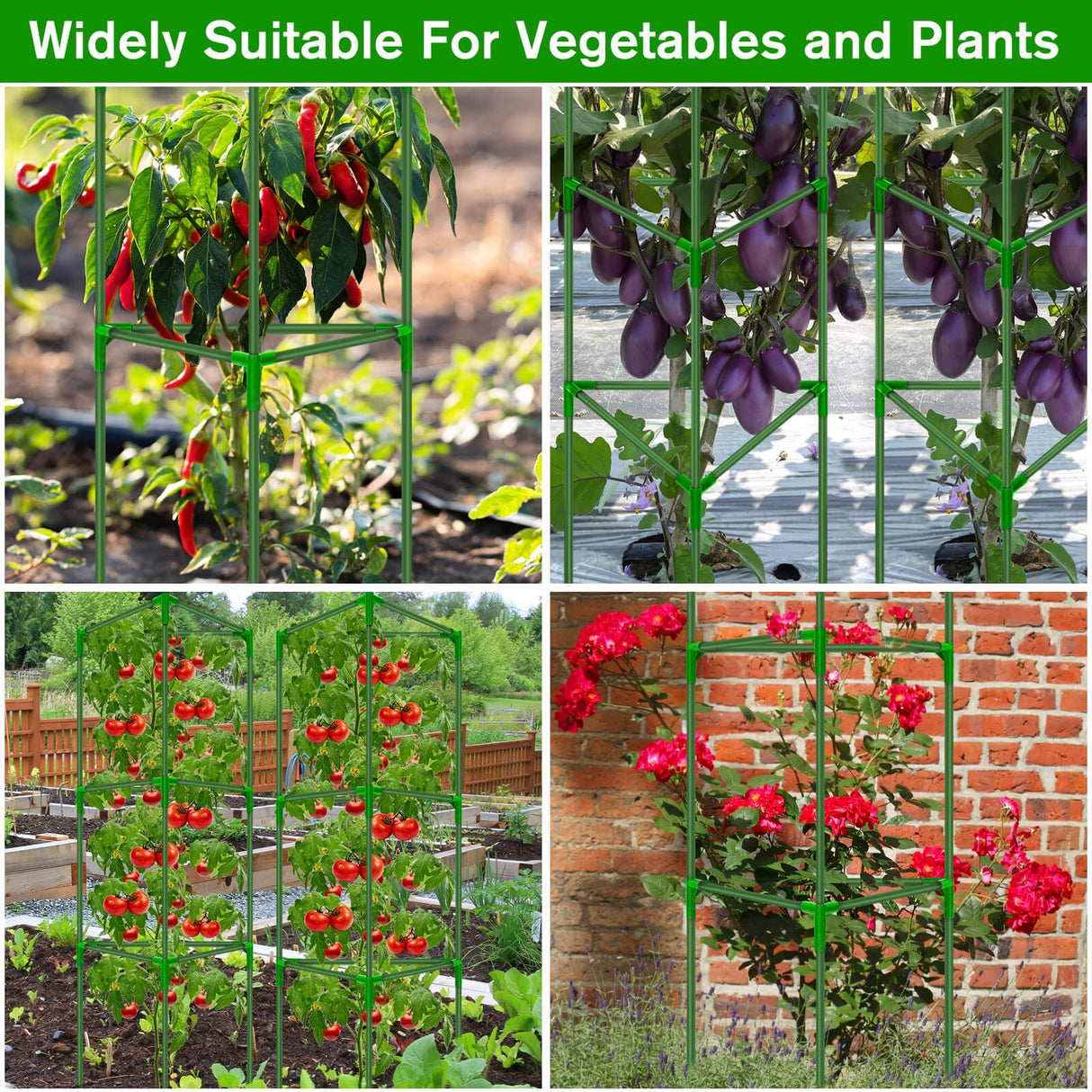 4 Pack Tomato Cages for Garden, Tomato Cage Trellis, Garden Cage Heavy Duty