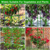 4 Pack Tomato Cages for Garden, Tomato Cage Trellis, Garden Cage Heavy Duty