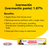Ivermectin Paste 1.87% Horse Dewormer - Apple Flavored Oral Syringe 6.08g Tube