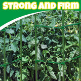 100Pcs Plant Stake Arms for Tomato Cage,11.8" Garden Stake Connectors with 2 Adjustable Buckles,Expandable Trellis Connectors Attach 11mm Diameter Plant Stakes for Climbing Plants Vegetables