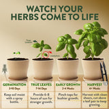 HOME GROWN Herb Garden Planter Indoor Kit – Unique Christmas Gift for Adults, Men, & Women - Grow 4 Heirloom Herb Seeds on Kitchen Window – Beginner DIY Craft & Hobby Gardening Gift for Plant Lovers