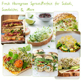Seed Sprouting Kit - 2×32 Oz Wide-Mouth Mason Jars with Sprouter Lids, Stand, Sprout Tray & Light Shield, for Broccoli, Alfalfa, Mung Beans & Microgreens (Yellow + Green)
