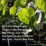 Standard Process Inc. Prost-X - Whole Food Prostate, Bone Health Supplement and Bone Support with Spanish Moss - 90 Capsules