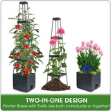 MQFORU 2 Packs Raised Garden Bed Tomato Planter with Trellis, 57" Tomato Cages for Climbing Vegetables Plant, Self Watering Planters Box for Garden Pots for Patio Greenhouse Indoor Outdoor（2PCS）