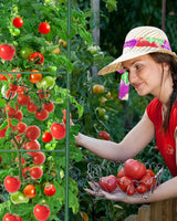MYMULIKE 6 Pack Tomato Cages for Garden, 51in*13in Adjustable Tomatoes Plant Stakes Support Cages Trellis, Garden Trellis for Vegetable Flowers Fruits Climbing Plants- 20 Binding Wires Included