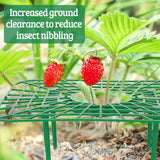 4 Sets Strawberry Plant Supports with Plant Protectors from Animals,Strawberry Growing Support Stakes with Mesh Plant Cover and Metal Garden Lawn Spikes Strawberry Planting Stand for Garden Vegetables