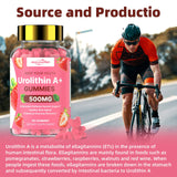 HEALOADING Urolithin A Supplement Gummies 500MG：Urolithin A+ Supplement for Healthy Aging Antioxidants and Mitochondrial Support，Non-GMO Vegan Friendly(60 Count)