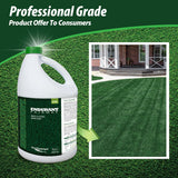 Endurant Turf Colorants - Fairway Spray On Green Grass Paint for Lawns - Revives Dry, Patchy Yards - Dark Grass Hue - Easy to Use, Concentrated Turf Grass Dye - Covers Approx 10,000 Sq Ft - 1 Gal