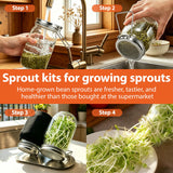 Sprouting Jars Kit, 2 Wide Mouth Mason Jars with 316 Stainless Steel Lids
