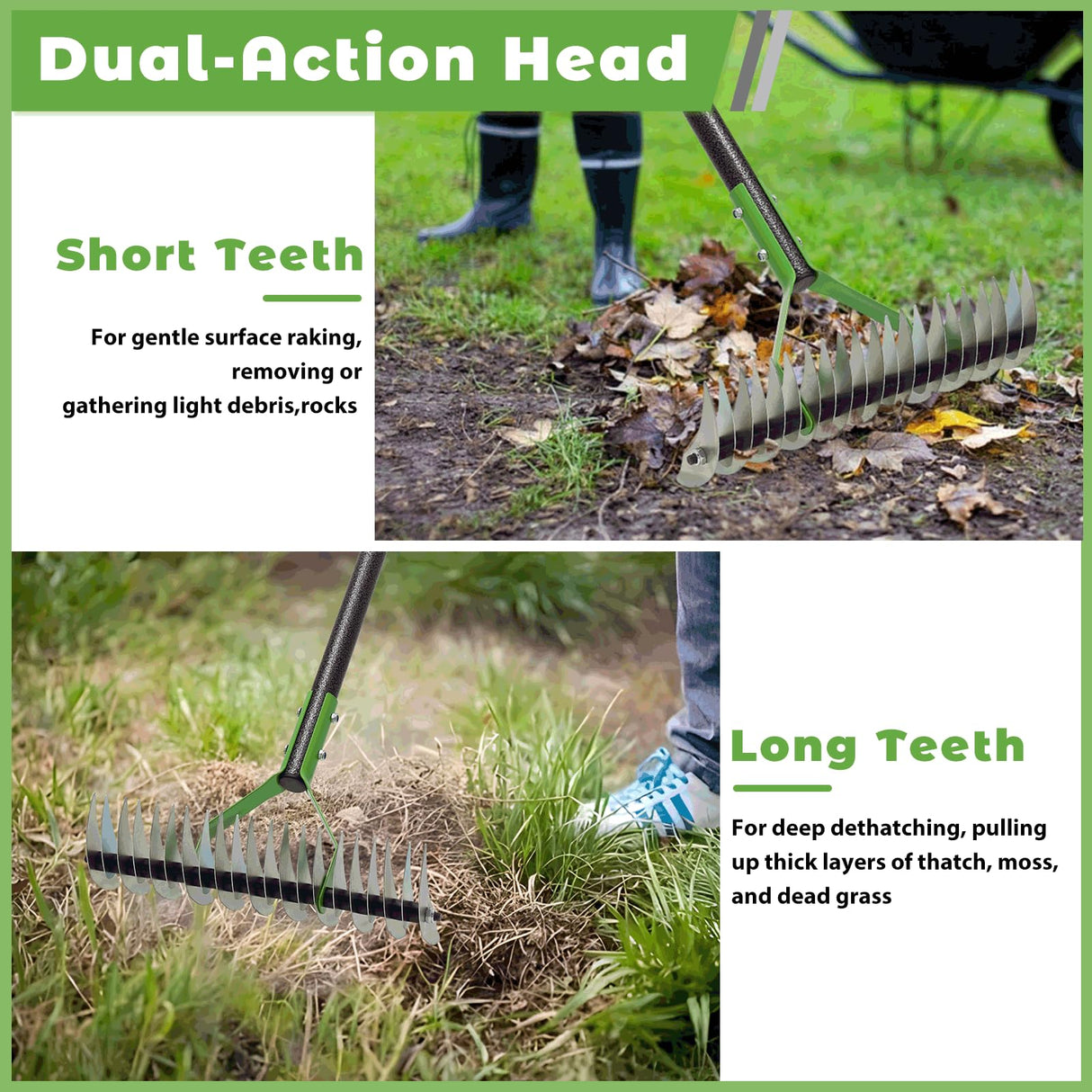 Thatch Rake, 51" Lawn Thatching Rake for Cleaning Dead Grass, 13 Inch Wide Heavy Duty 21 Teeth Steel Metal Rakes, Landscaping Raking Garden Tools for Lawn Care Loosening Leveling Soil Mulch