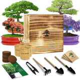 LUOJIBIE Bonsai Tree Kit - Unique Gift for Women, Men, Boys & Girls