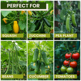 50x50 Cucumber Trellis for Raised Bed - A Frame Garden Trellis for Climbing Plants Outdoor - Cucumbers, Pea, Zucchini, Squash,Tomato, Green Bean, Vine, Watermelon, Melon, Pumpkin